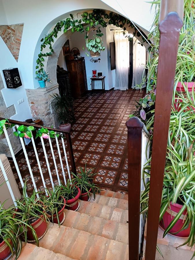 25 De Abril Daire Santa Cruz de la Sierra Dış mekan fotoğraf